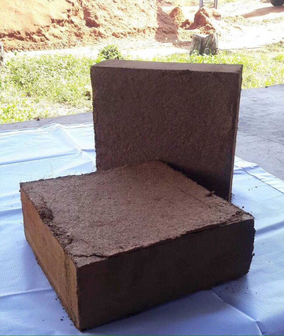 Cocopeat 5 kg block close-up