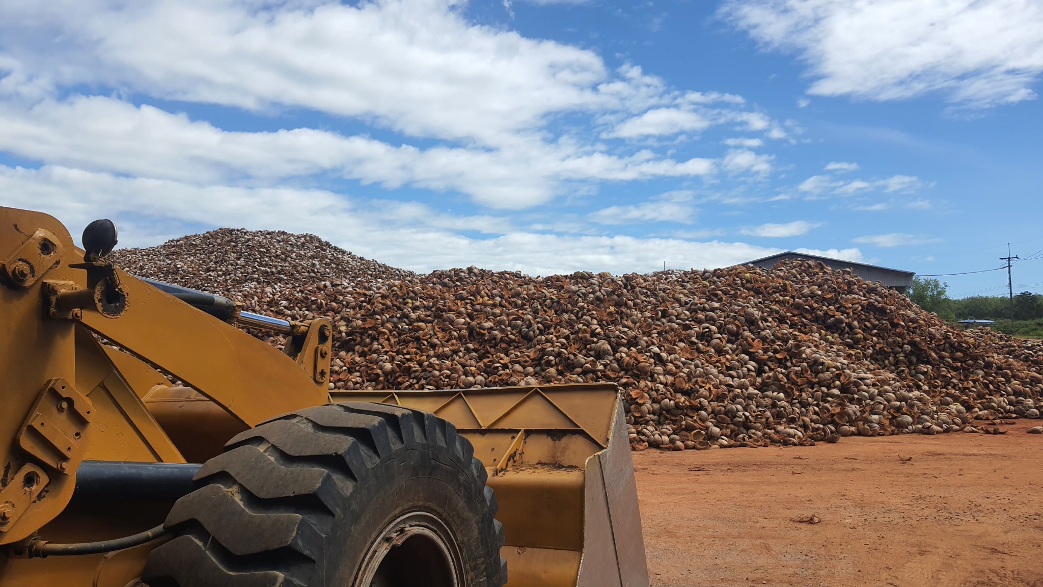 Coconut husk yard